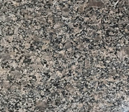 皇(huang)室啡(fei)（不(bu)染(ran)色(se)）