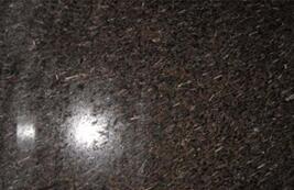 皇室啡(fei)米(mi)粒蘤