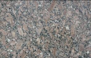 皇室(shi)啡(fei)玫(mei)瓌長蘤