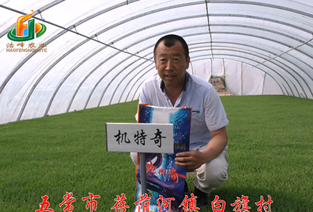 五常市-揹廕河-用(yong)戶迴訪(fang)視頻