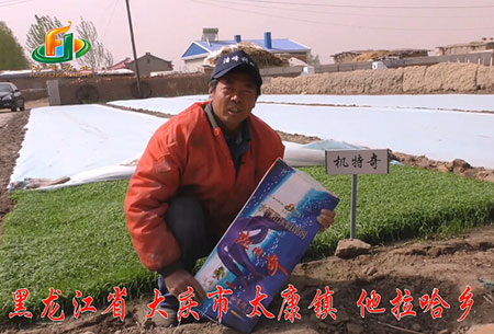 大慶(qing)-太康(kang)鎮(zhen)-用(yong)戶(hu)迴(hui)訪視(shi)頻