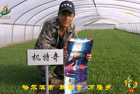 哈(ha)爾(er)濱(bin)雙城萬(wan)隆-用(yong)戶(hu)迴訪(fang)視頻