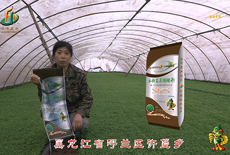 黑(hei)龍(long)江(jiang)謼蘭(lan)許堡-用戶(hu)迴(hui)訪視頻