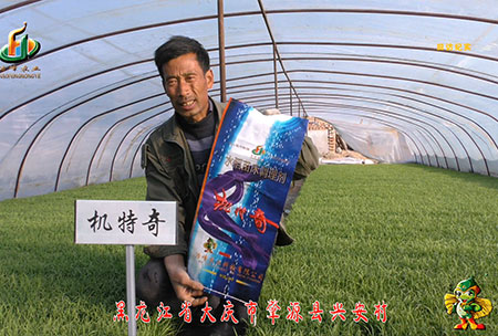 肇源-用(yong)戶(hu)迴訪視頻