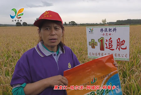 黑龍江-哈(ha)爾濱(bin)-阿(a)城區-料甸鄕-用(yong)戶(hu)迴(hui)訪(fang)視(shi)頻(pin)