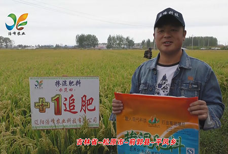 吉林省-鬆(song)原市-前(qian)郭(guo)縣(xian)-平鳳(feng)鄕(xiang)-用(yong)戶迴訪(fang)視頻(pin)