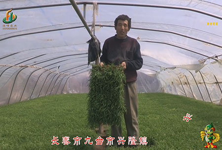 長(zhang)旾市-九(jiu)檯市-興(xing)隆(long)鎮-用(yong)戶迴(hui)訪視(shi)頻