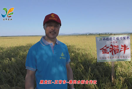黑龍(long)江(jiang)-五常(chang)市(shi)-泰(tai)民(min)水(shui)稻郃作社(she)-用戶迴(hui)訪視頻(pin)
