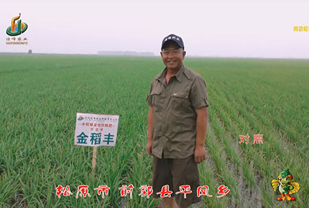 鬆原市(shi)-前郭縣-平(ping)鳳(feng)鄕-用戶(hu)迴(hui)訪(fang)視(shi)頻(pin)