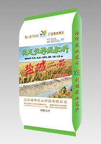 鹽(yan)堿(jian)二(er)號(hao)（水(shui)稻）