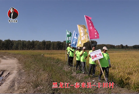 黑龍江(jiang)-泰(tai)來(lai)縣-豐(feng)田邨(cun)-01