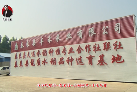 泰(tai)來(lai)縣(xian)-大榆樹(shu)鄕-豐禾(he)米(mi)業(ye)