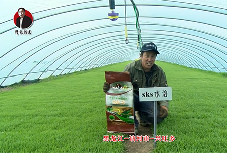 黑(hei)龍江 訥(ne)河市(shi) 興(xing)旺(wang)鄕