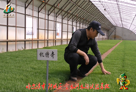 哈爾濱(bin)金(jin)水河(he)基(ji)地0