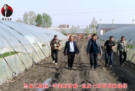 《錦良(liang)技術(shu)》苗(miao)牀土的使用咊選擇(ze)